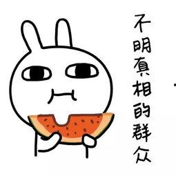 娱乐吃瓜酱卡皮,揭秘娱乐圈背后的那些事儿